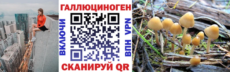Галлюциногенные грибы Psilocybine cubensis что такое наркотик Зверево